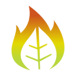 author-avatar